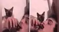 Joven toca una canción con su armónica y su gato se suma con tiernos maullidos