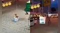 Dueño de gatito construye un ‘ascensor privado’ para que su mascota retorne a su casa