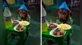 Familia celebra fiesta de cumpleaños de su perrito con pollo a la brasa y chizito