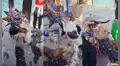 Albergue organiza celebración con piñata para que los perritos saquen las sorpresas