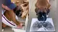 Joven coloca las patas de su perrito junto a sus manos y las escanea para el recuerdo