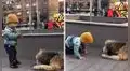 Impresionante reacción de niño al ver por primera vez a un perro se vuelve viral en redes