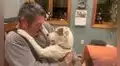 La enternecedora reacción de un perrito al ser adoptado por un hombre 