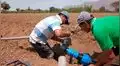 Lambayeque: ¿por qué ocurre un uso incorrecto del agua en la agricultura? 