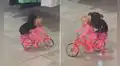 Perrito enternece en las redes al pasear subido en una muñeca Barbie en bicicleta