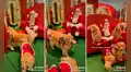 Perros se emocionan al encontrar a Papá Noel y suben a mueble para tomarse una foto con él