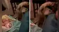 Perro trata de no quedarse dormido para seguir cuidando a la bebé de sus dueños  