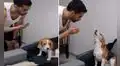 Perro ‘no está de acuerdo’ con el regaño de su dueño y responde con un potente ladrido