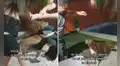 Perro se ‘enfrenta’ al papá de su dueña al ver que quería empujarla a la piscina