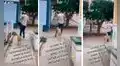 Perrito de la calle encuentra a un chico y comienza a copiar sus movimientos saltando sin parar
