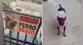 Visita casa con cartel de advertencia por un ‘perro bravo’ y resulta ser un chihuahua