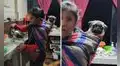 Mujer carga a su perrito en una lliklla para cuidarlo mientras cocina