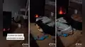 Perrito traslada su cómoda cama cerca de la chimenea para no sentir frío