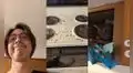 Joven abre su repisa y descubre que su gato estaba comiendo sus croquetas a escondidas