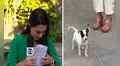 Reportera detiene la transmisión en vivo para acariciar a una perrita que apareció en la calle  