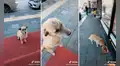 Perrito callejero se emociona al ver que trabajadora de tienda le regala comida