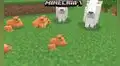 Minecraft: hacen terrorífico descubrimiento que involucra a las ranas y cabras del juego