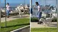 Sale a patinar junto con su perro y este ‘baila’ con singulares movimientos en la calle