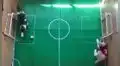 Gatitos ‘futboleros’ juegan con la pelota y uno de ellos sorprende con espectacular atajada