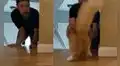 Travieso gatito se divierte jugando a las escondidas con su dueño