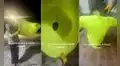 Sostiene su ropa mojada para que seque al aire libre, pero la prenda termina congelada