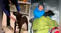 Perrito regresa a casa después de estar cuatro meses extraviado en la nieve