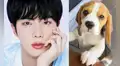 BTS: Jin realizó significativa donación para animales rescatados