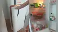 Mujer encuentra a su gato descansando dentro de un refrigerador ante el intenso calor