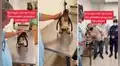 Rescatan a pingüino de Humboldt a causa de los derrames de petróleo y caso se vuelve viral
