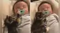 Gatito conoce al bebé de sus dueños y se acurruca junto a él para descansar