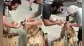 Perro roba la bolsa de pan de un hombre en la calle y se niega a devolverla