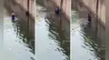 Perro aúlla para alertar a una mujer que su amigo estaba en peligro de morir ahogado