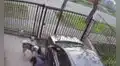Hombre trata de ayudar a su perrito, pero su otra mascota lo embiste y se cae al piso