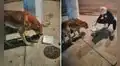 Niña de 10 años recolecta agua y comida para repartirla a perritos callejeros