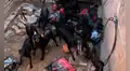 Una mujer tiene más de 30 perros y no los puede controlar: “Se comen entre ellos”
