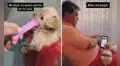 No quería perros en casa, pero es captado mientras le enseñaba videos graciosos a su cachorro