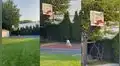 Perrito busca su balón de básquet para jugar, pero entristece al verlo atascado en el aro