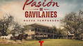 Pasión de gavilanes 2: ¿quién es quién en la segunda temporada de la telenovela?