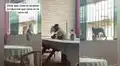 Mono entra de imprevisto a una casa para ‘robar’ comida, pero la dueña lo descubre
