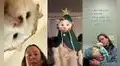La querida gata de TikTok Pot Roast fallece a causa de un virus y miles lo lamentan
