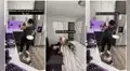 Tierno perrito cautiva al entender el lenguaje de señas para comunicarse con sus dueños