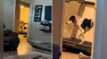 Perrito corre en una caminadora para evitar salir en medio de una tormenta