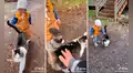 TikTok viral: padre enseña a su hijo a respetar a los animales y su gato le da las ‘gracias’