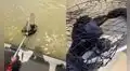 TikTok viral: turistas rescataron a un mono aullador varado en un río con ayuda de la Marina 