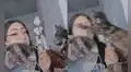 TikTok viral: gato no tolera que su dueña lo ignore mientras se maquilla y tiene efusiva reacción 