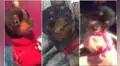 TikTok viral: joven diseca a su perrita para tenerla a su lado, pero queda impactada con el resultado