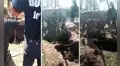 YouTube viral: policías arman operativo y se unen para rescatar a caballo que cayó a un pozo