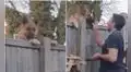 Hombre es captado compartiendo gratos momentos con el perrito de su vecino