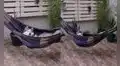 Joven encuentra a su perro descansando  en la hamaca que instaló en el patio de su casa