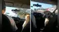 Padre lleva todos los días a su hija hasta su trabajo y su perrita les hace compañía